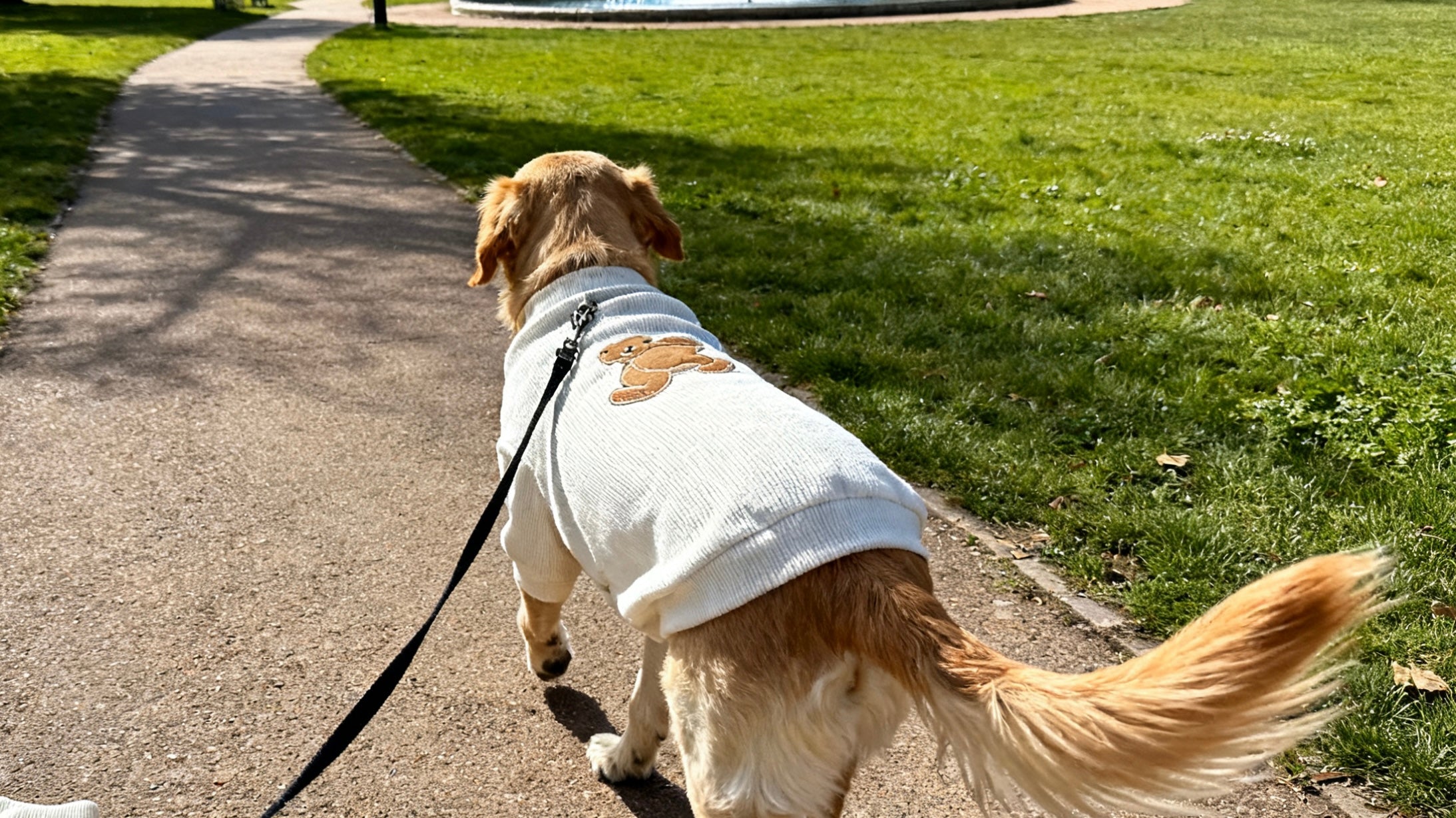 Dog ribbed sweater with patch